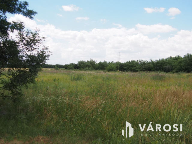 Iparterület Szeged és Vásárhely között, a Tisza hídnál!