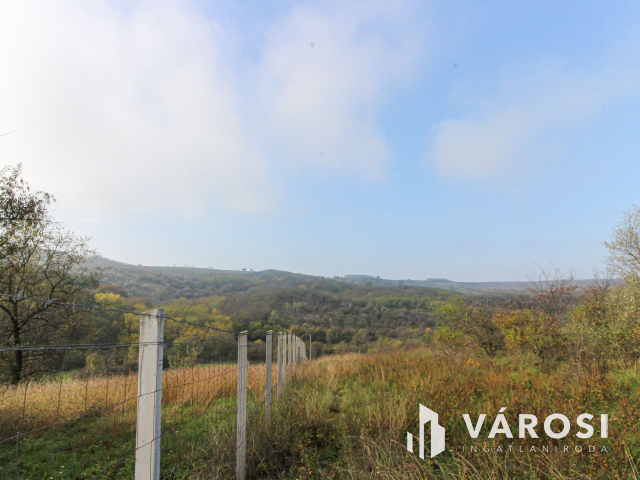 Elvonulni vágyók figyelmébe, panoráma, erdő a szomszéd