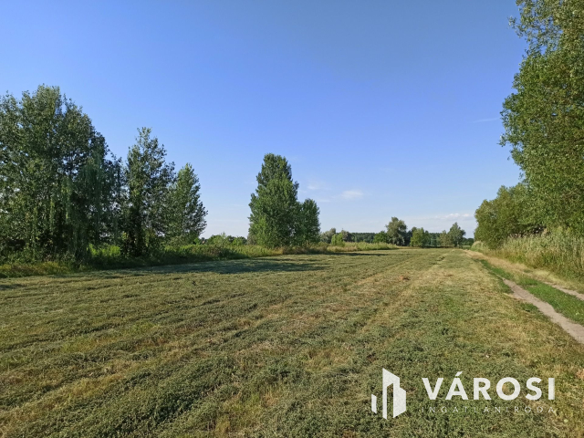 Turán 6060nm-es külterületi telek