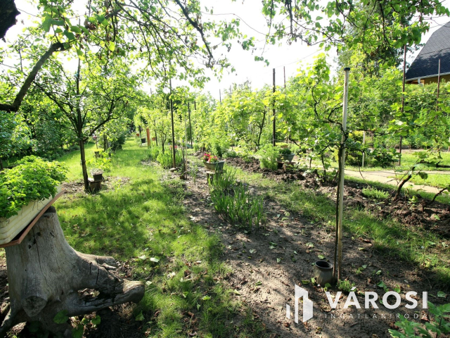 Édenkert Szeged, Sziksóstón