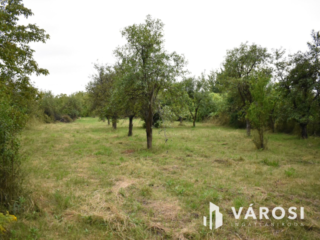 4229 m2-es összközműves építési telek fürdő ővezetben!