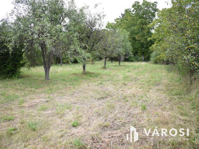 4229 m2-es összközműves építési telek fürdő ővezetben!