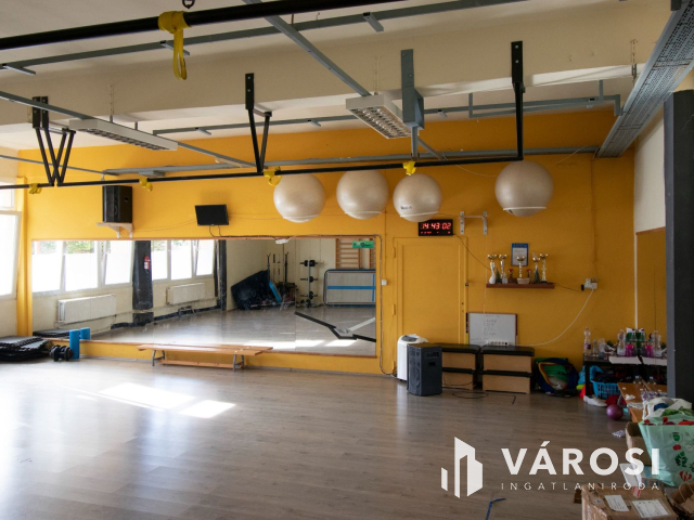 Korszerű ipari ingatlan napelemmel, városközpontban!
