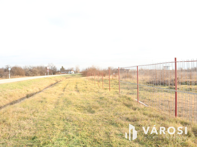 Szeged mellett Algyőn, 8 hektár ipari terület!