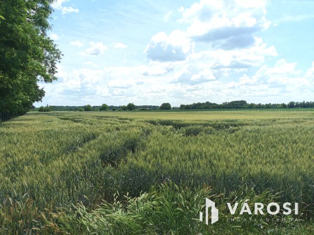 Működő állattartó farm berendezésekkel együtt eladó!