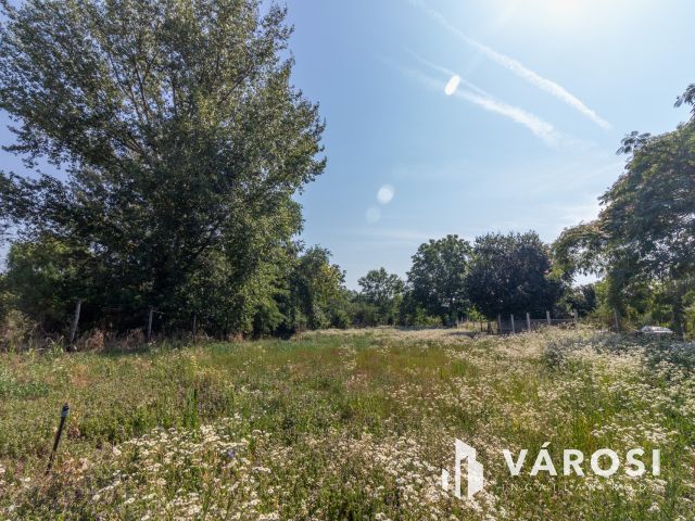 Tompasziget- A nyugalom szigete