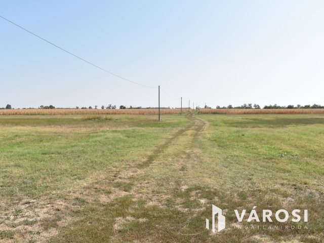 Minden egy helyen, egy igazi tanyán!