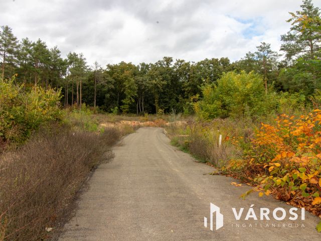 Belterületi építési telek Pilisborosjenőn a Malom dűlőben