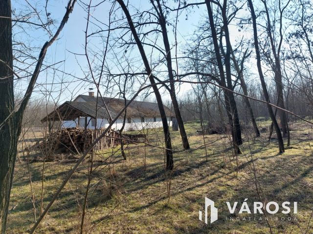 16 hektáros, sokoldalúan hasznosítható terület eladó
