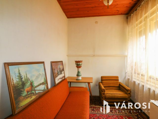 Tágas családi ház nagy telekkel