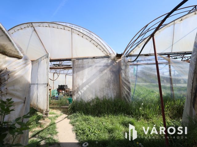 Tanya gazdálkodásra alkalmas területtel