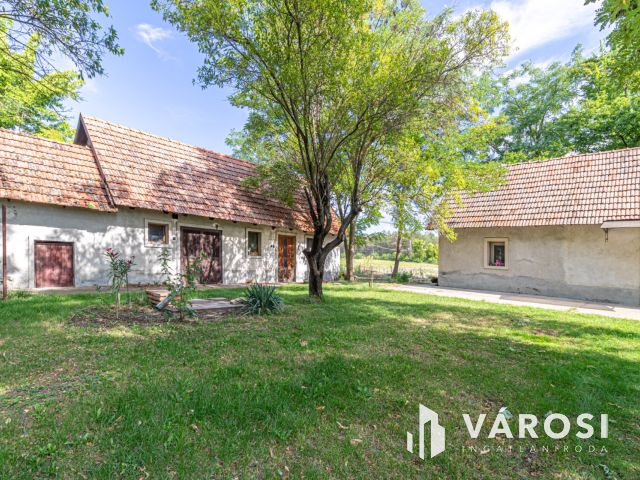 Gazdálkodásra, állattartásra alkalmas Ásotthalmi birtok