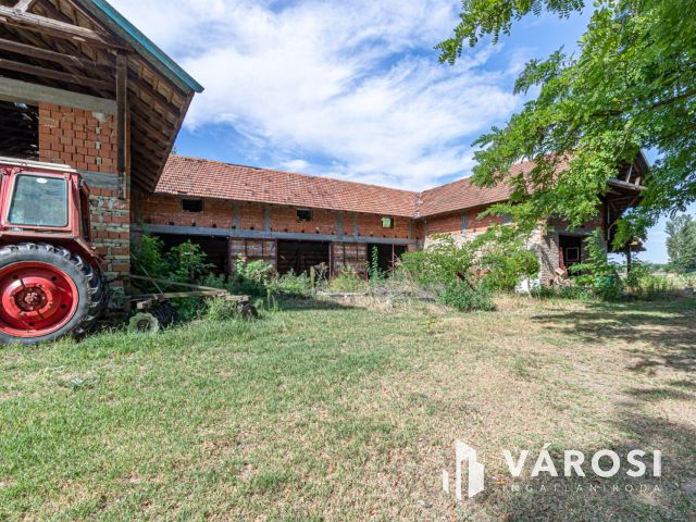 Gazdálkodásra, lovas turizmusra alkalmas Ásotthalmi birtok