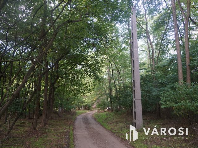 Budapesttől 16 km-re erdei környezetben tanya eladó