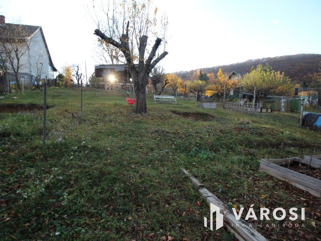 Rönkházzal együtt eladó üdülőtelek