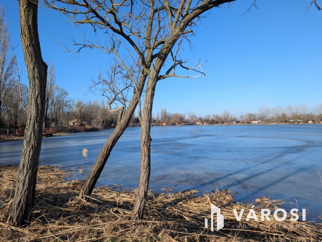 Vízparti telek a Borosgyáni tavaknál!